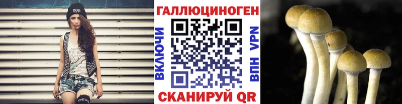 что такое   МЕГА ONION  Псилоцибиновые грибы мицелий  Пермь 
